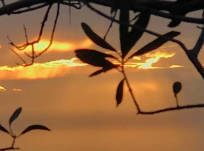 Vyron 2 Lusso * Nea Michaniona